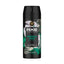 Axe Emerald Sage Body Spray Men