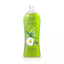 Eva Natural Delight Shower Gel - Shower Gel
