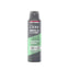 Refect Beauty Dove Men+Care Sensitive Shield antiperspirant deodorant spray can for sensitive skin