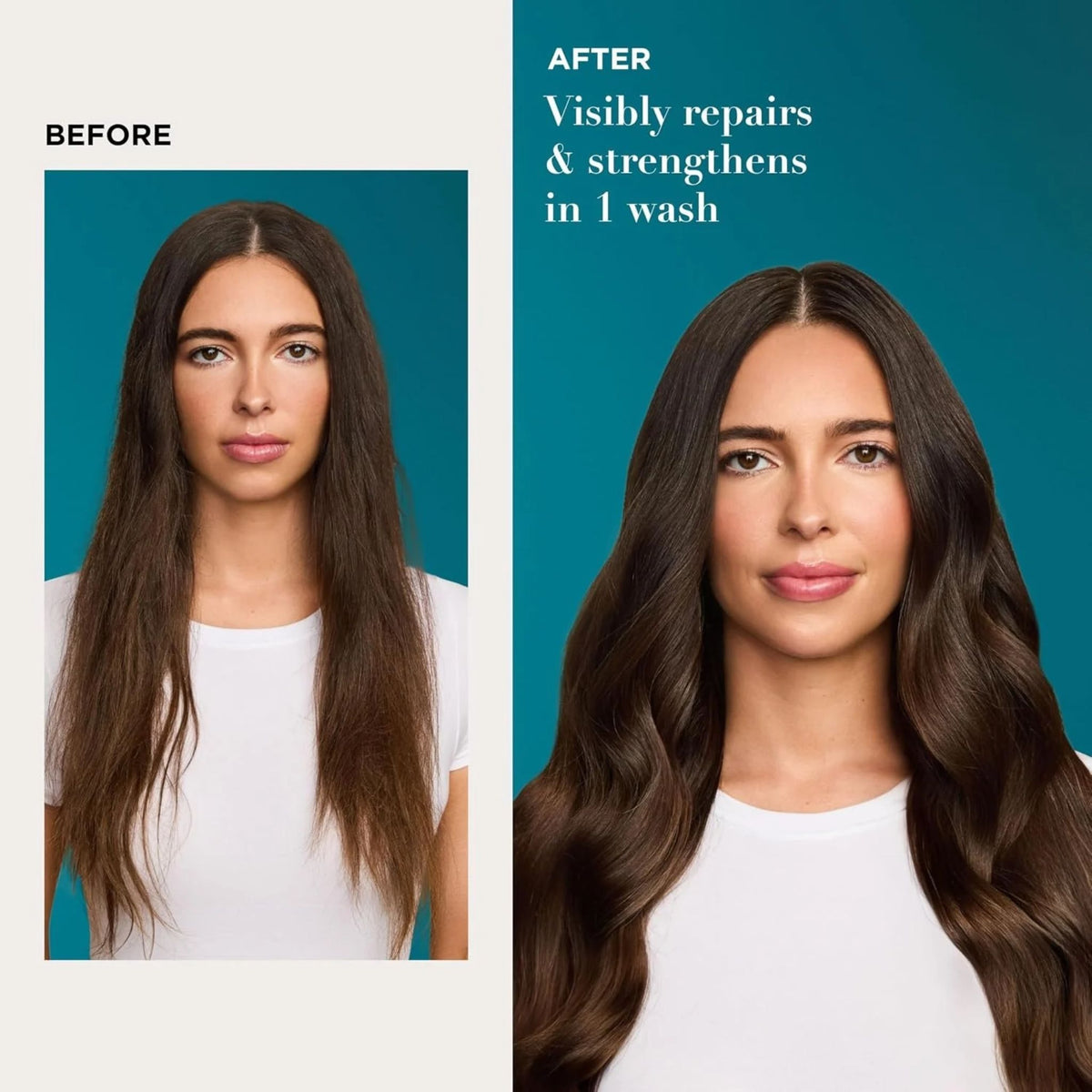 OGX Argan Oil of Morocco Shampoo - Shampoo for Dry Hair