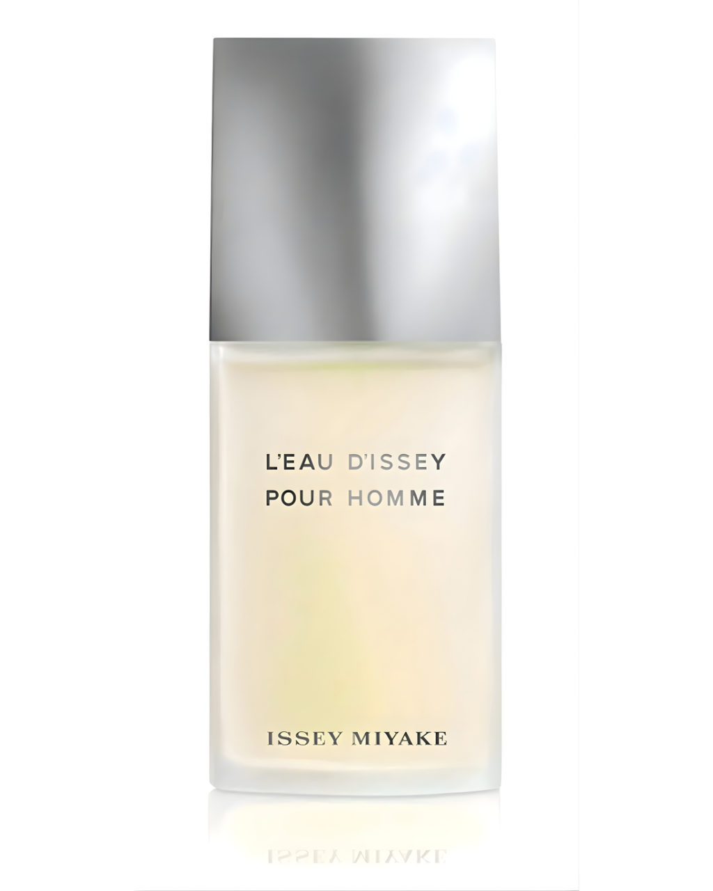 Issey Miyake L'eau D'issey Pour Homme - Eau de Toilette