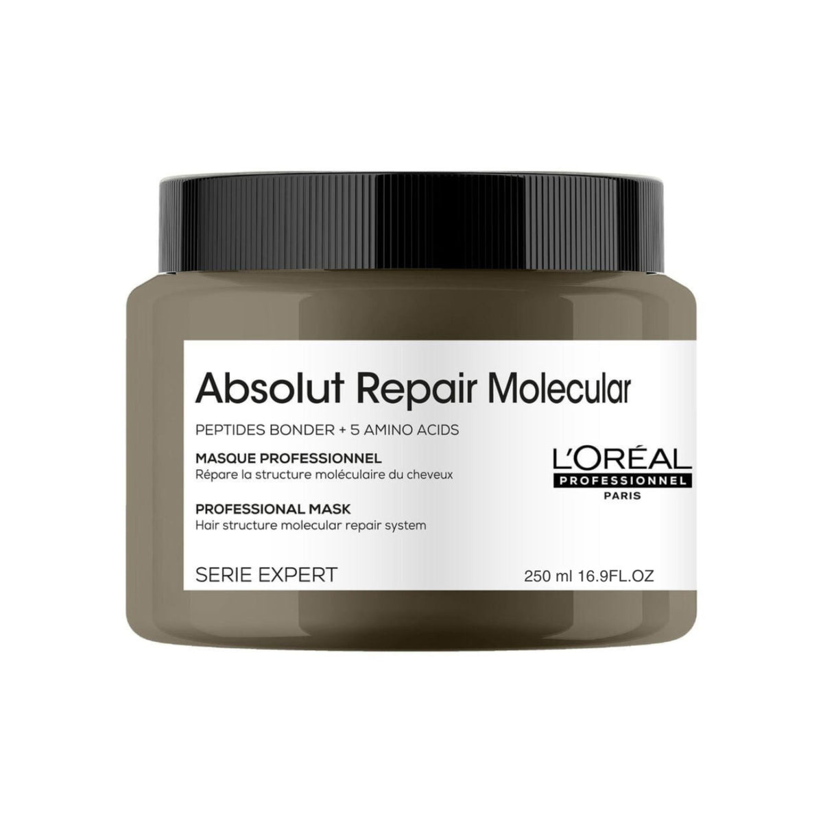 L'Oreal Professionnel Absolut Repair Molecular Concentrated Repairing Mask