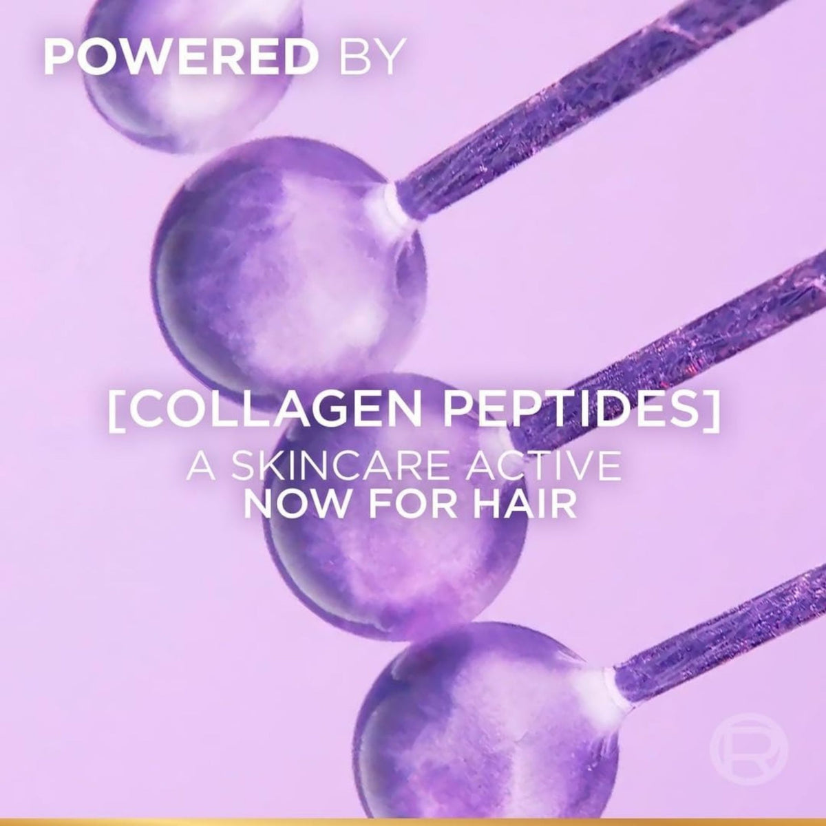 L'Oréal Paris Elvive Collagen Lifter - Volumizing Hair Serum