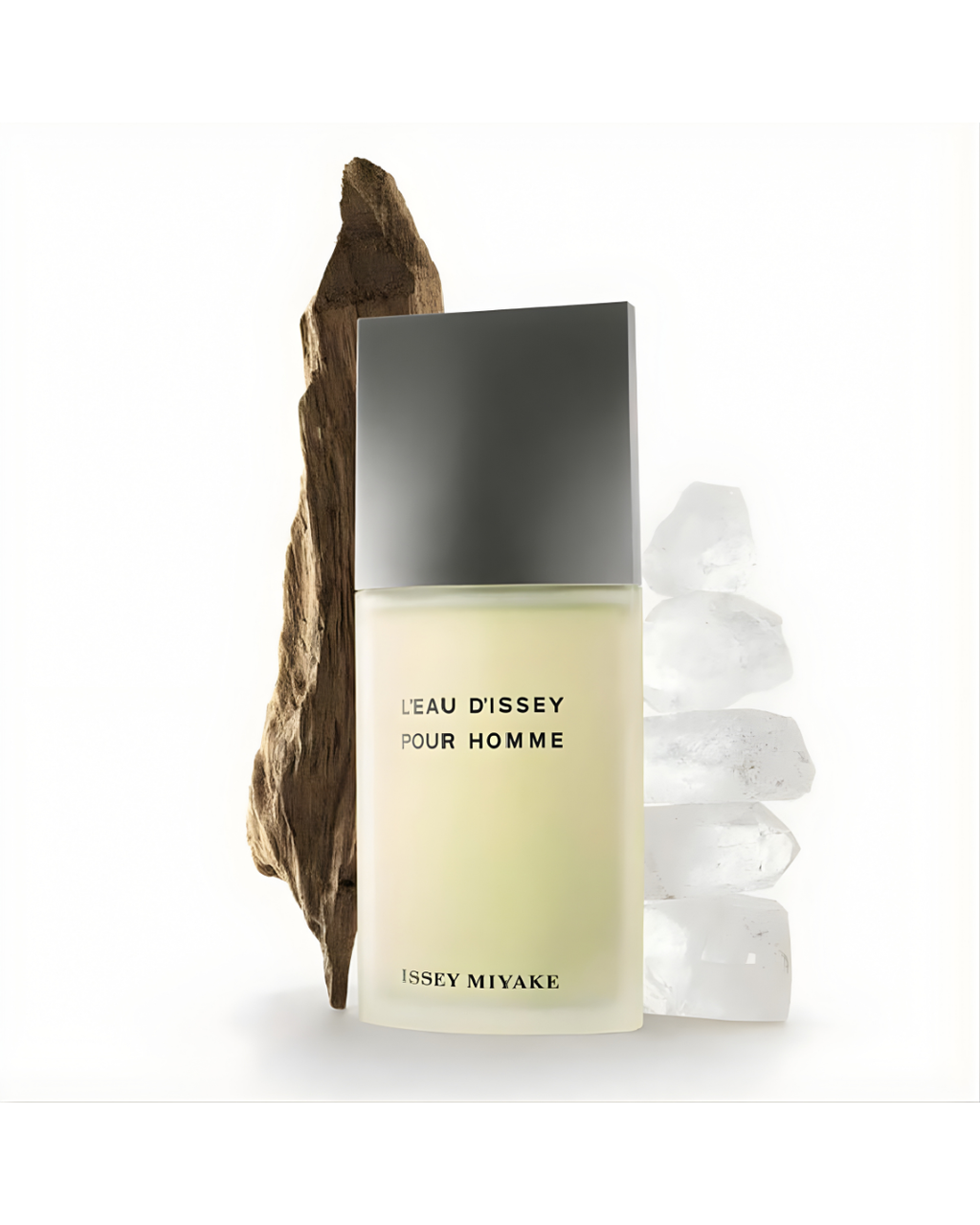 Issey Miyake L'eau D'issey Pour Homme - Eau de Toilette