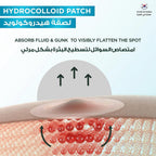 Garnier Pimple Patch Fast Clear Invisible 8 Hours 22 Patches