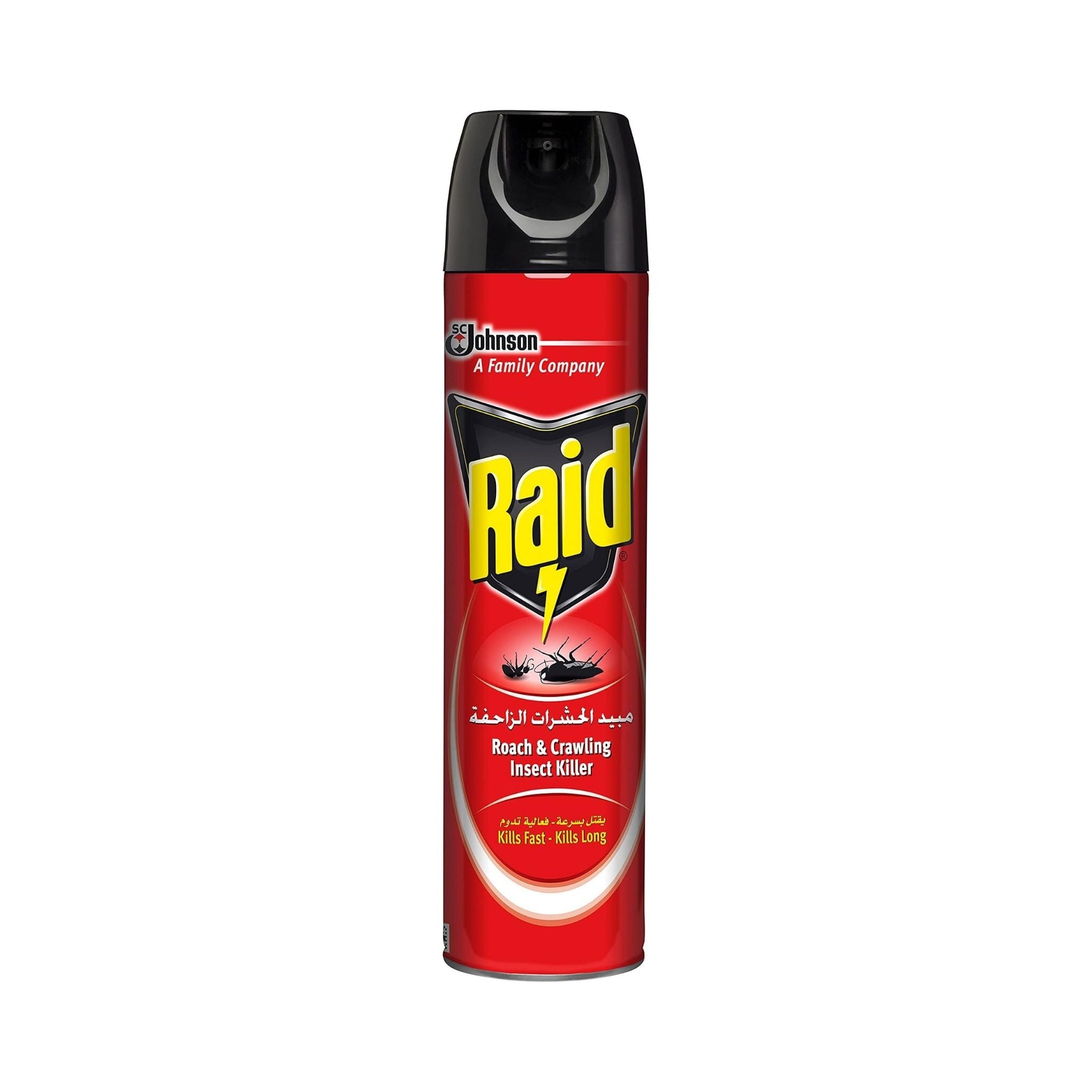 Raid Roach & Crawling Insects Killer - Insecticide Spray