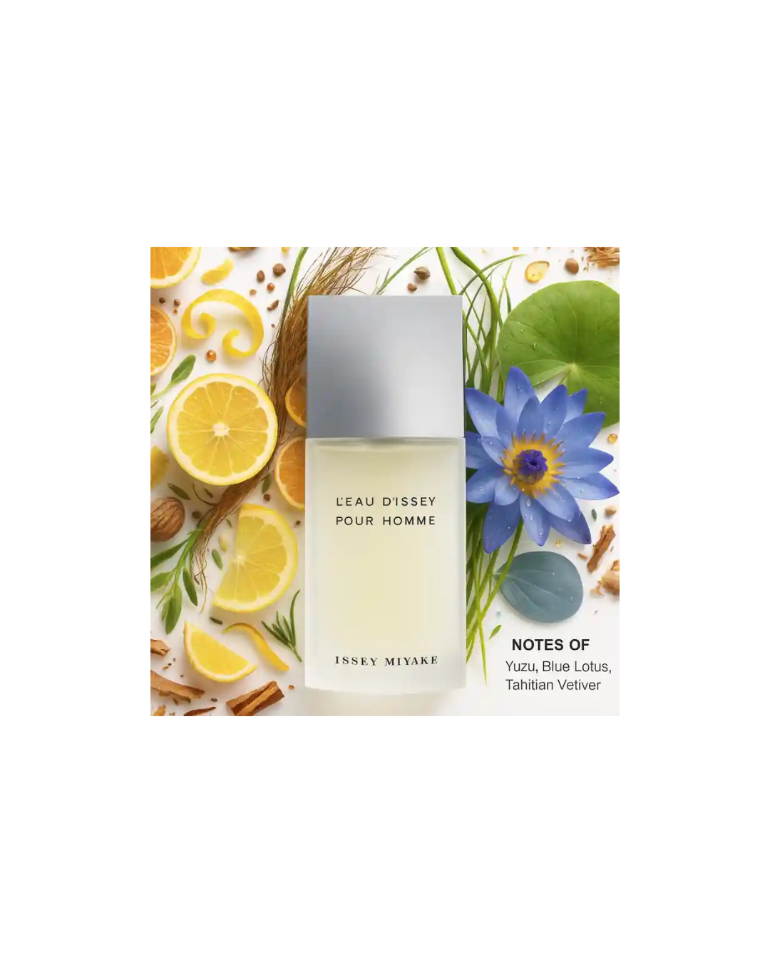 Issey Miyake L'eau D'issey Pour Homme - Eau de Toilette