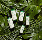 Thicker Fuller Hair Root Boosting Leave-In Treatment
