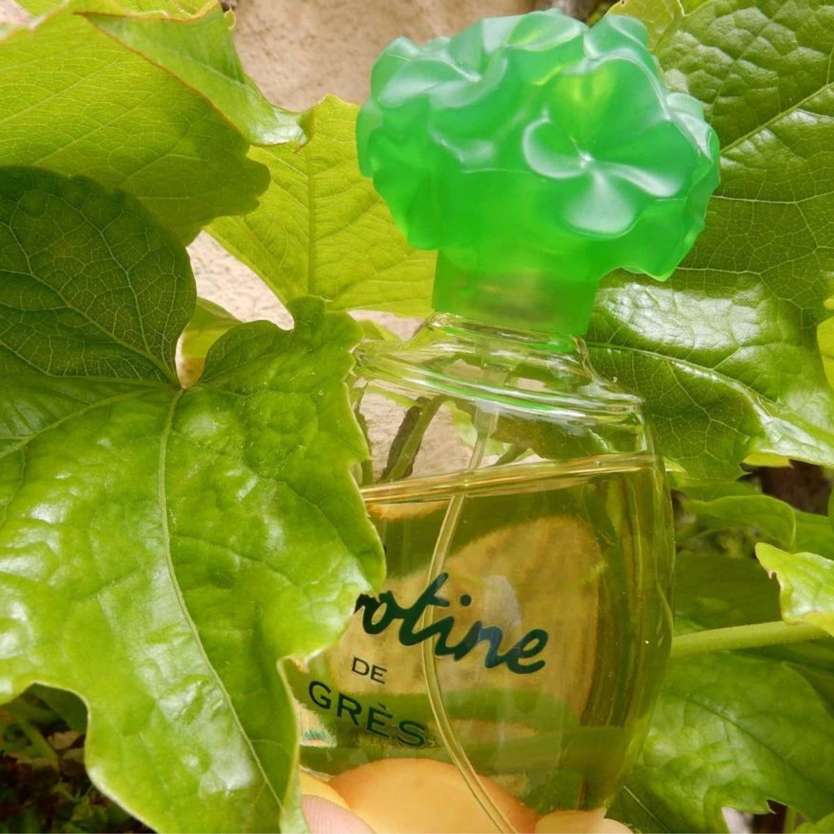 Gres Cabotine - Eau de Parfum