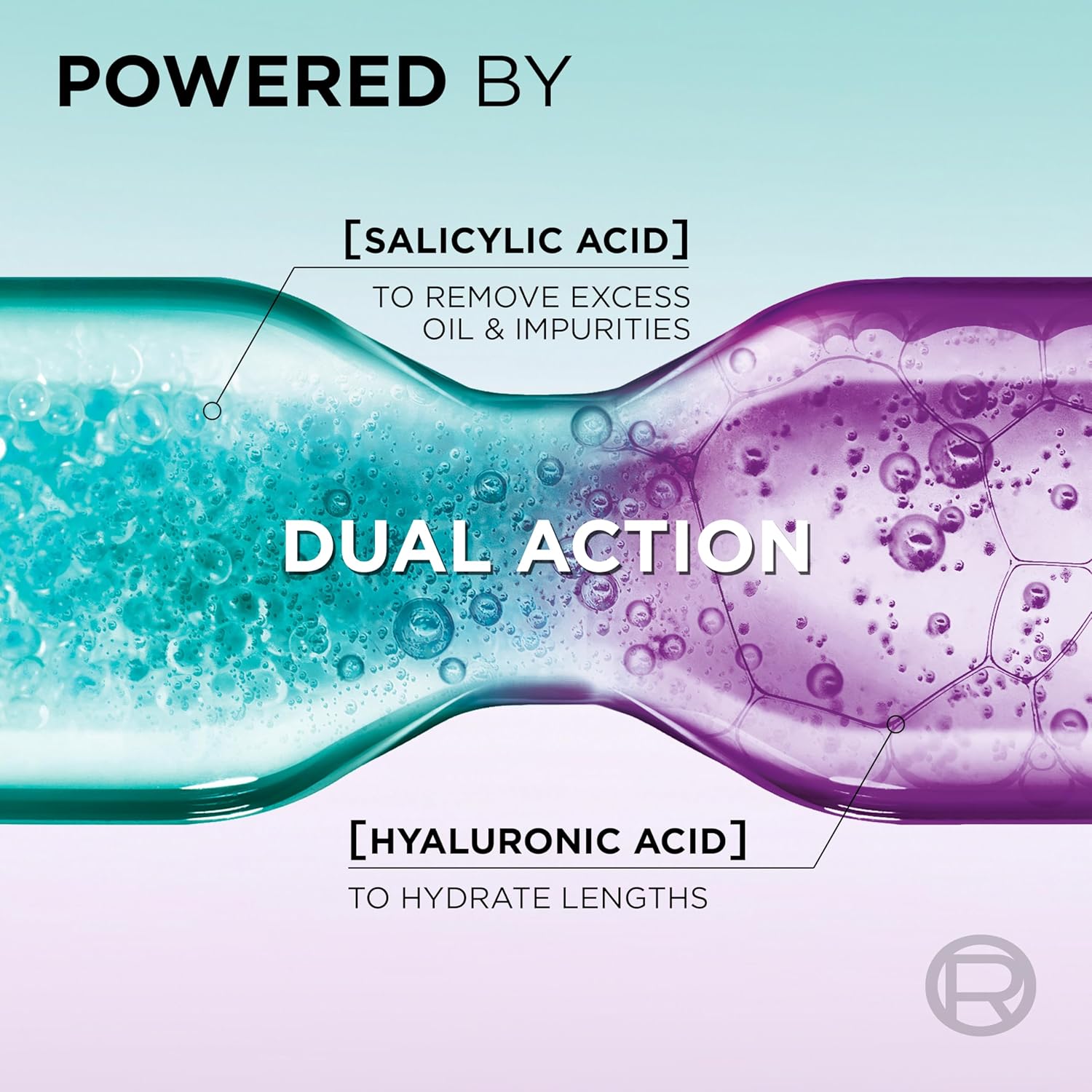 L'Oreal Paris Elvive Hyaluron Pure Purifying Shampoo