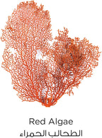 L'oreal paris Pure Clay Red Face Cleanser With Red Algae