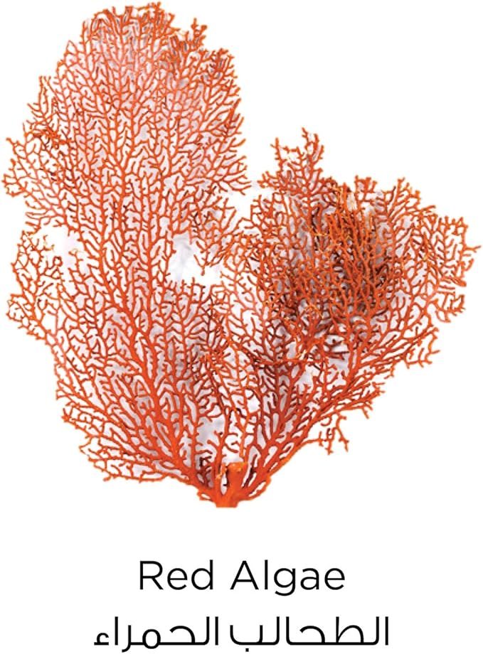L'oreal paris Pure Clay Red Face Cleanser With Red Algae
