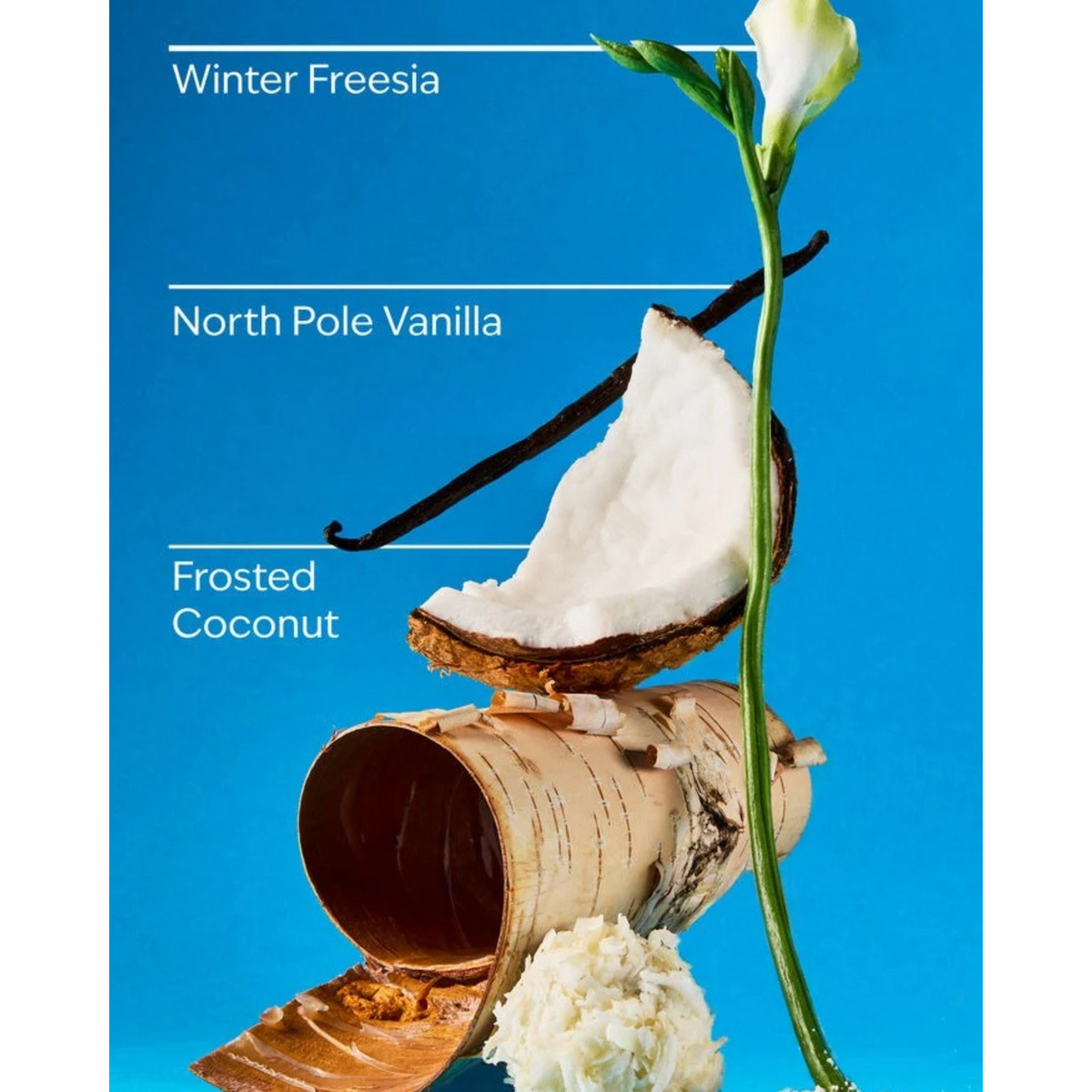 Bath & Body Works Frosted Coconut Snowball Fine Fragrance Mist - Body Mist