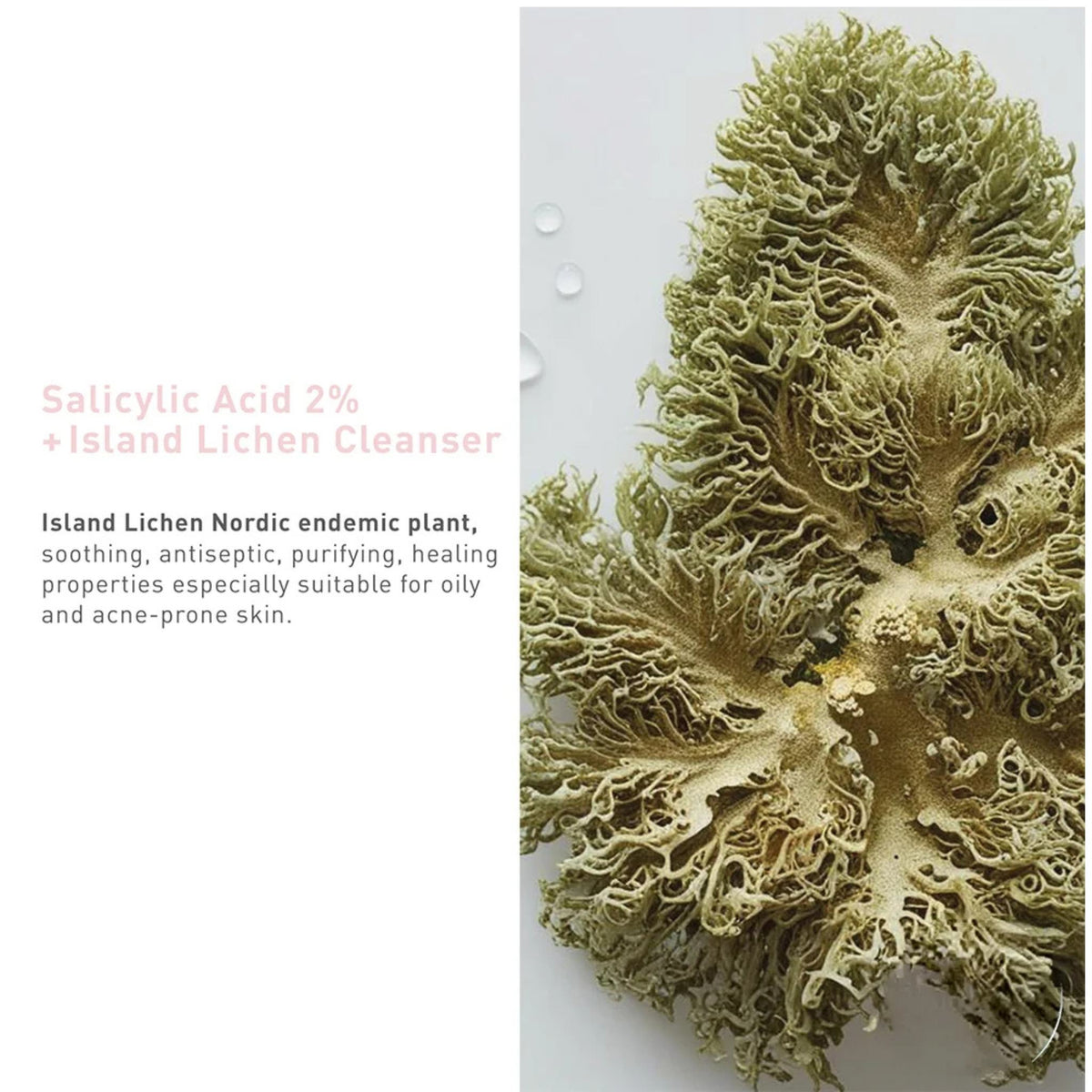 Bionnex The Nordea Purifying Salicylic Acid Serum For Acne-Prone Skin