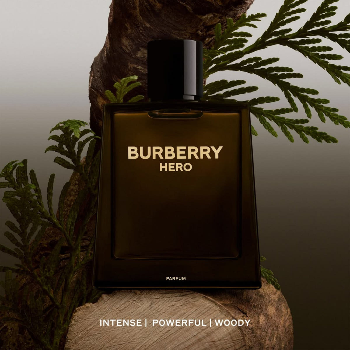 Burberry Hero - Parfum