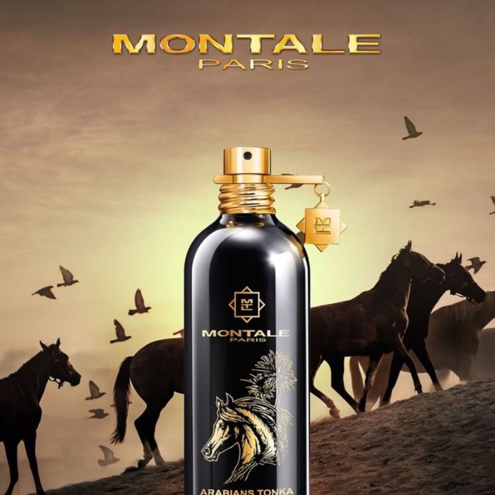 Montale Paris Arabians Tonka - Eau de Parfum