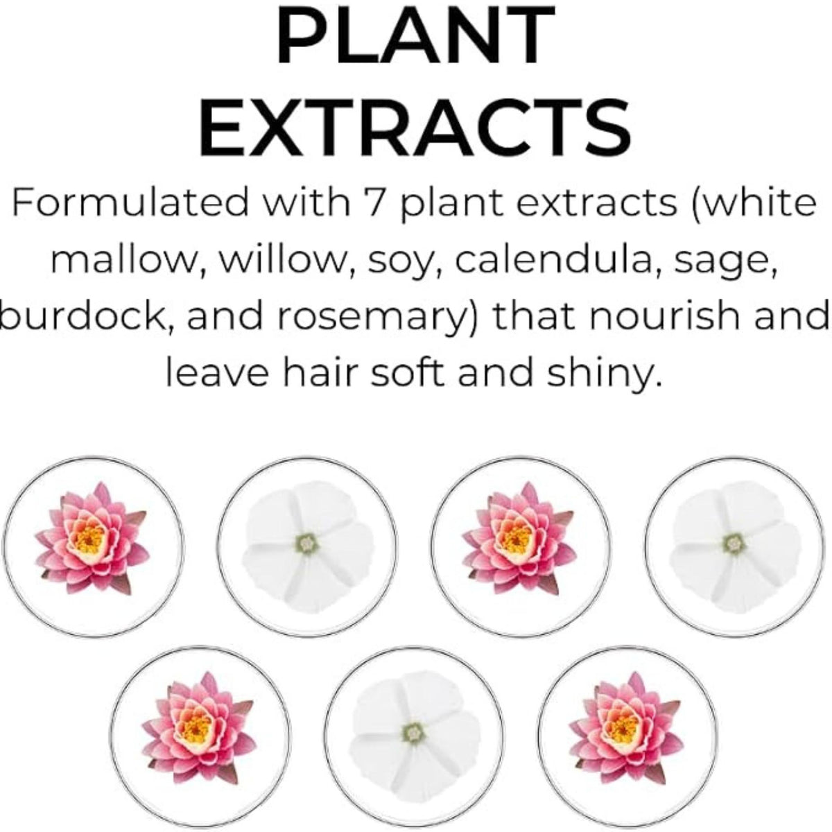 Phyto 7 Nourishing Day Hair Cream