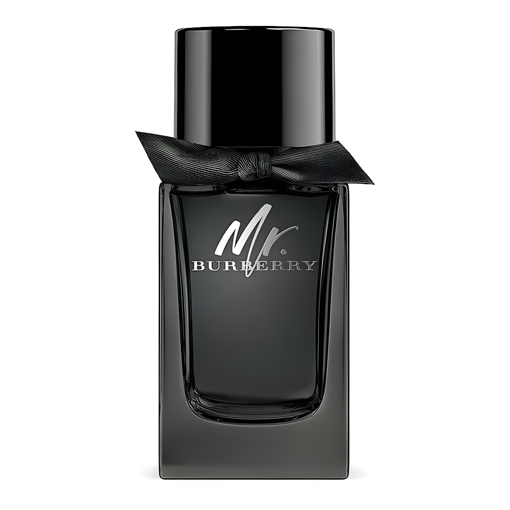 Mr. Burberry - Eau de Parfum