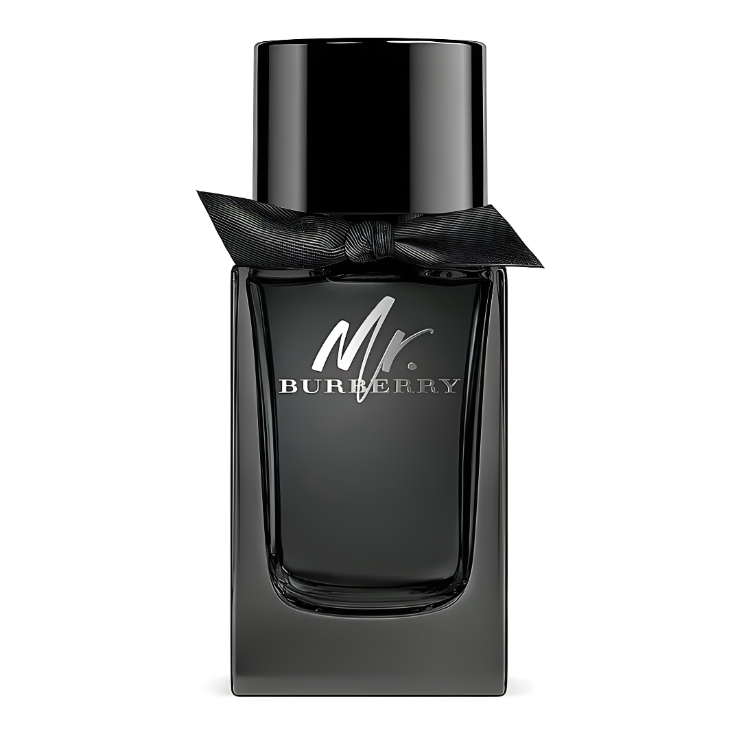 Mr. Burberry - Eau de Parfum
