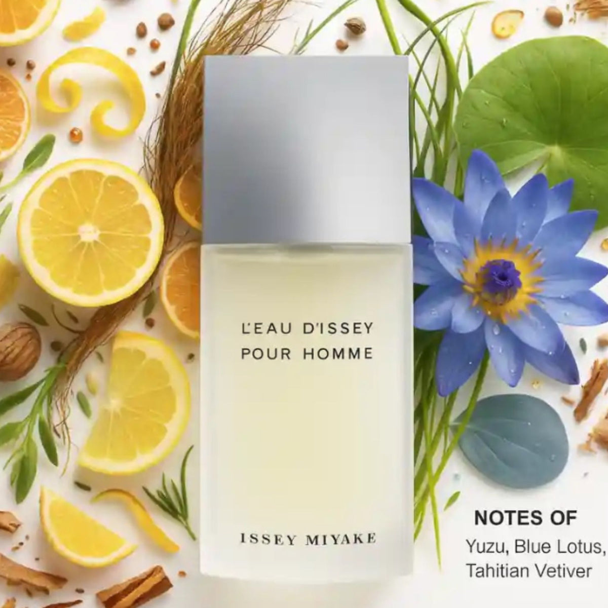 Issey Miyake L'eau D'issey Pour Homme - Eau de Toilette