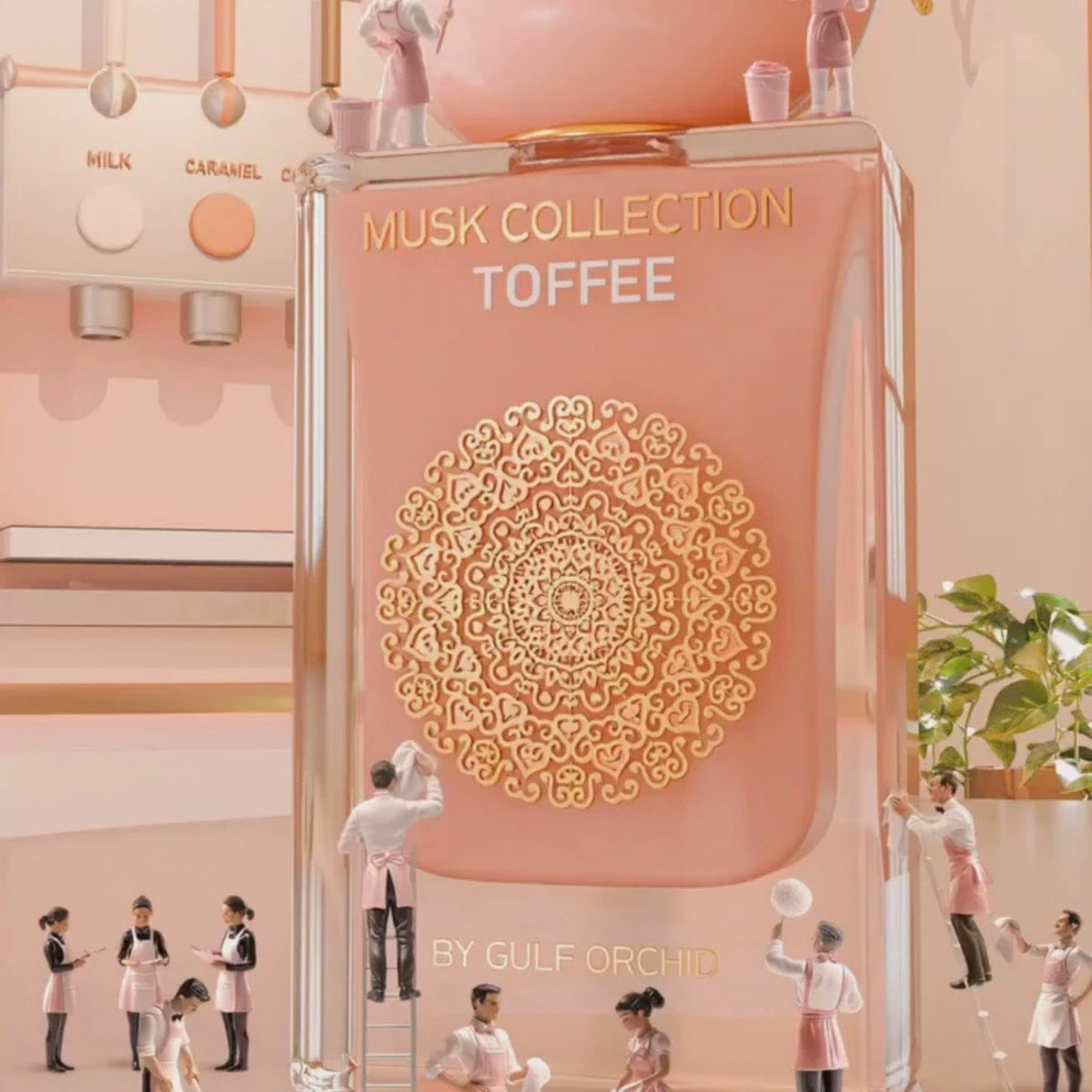 Gulf Orchid Musk Collection Toffee - Eau de Parfum