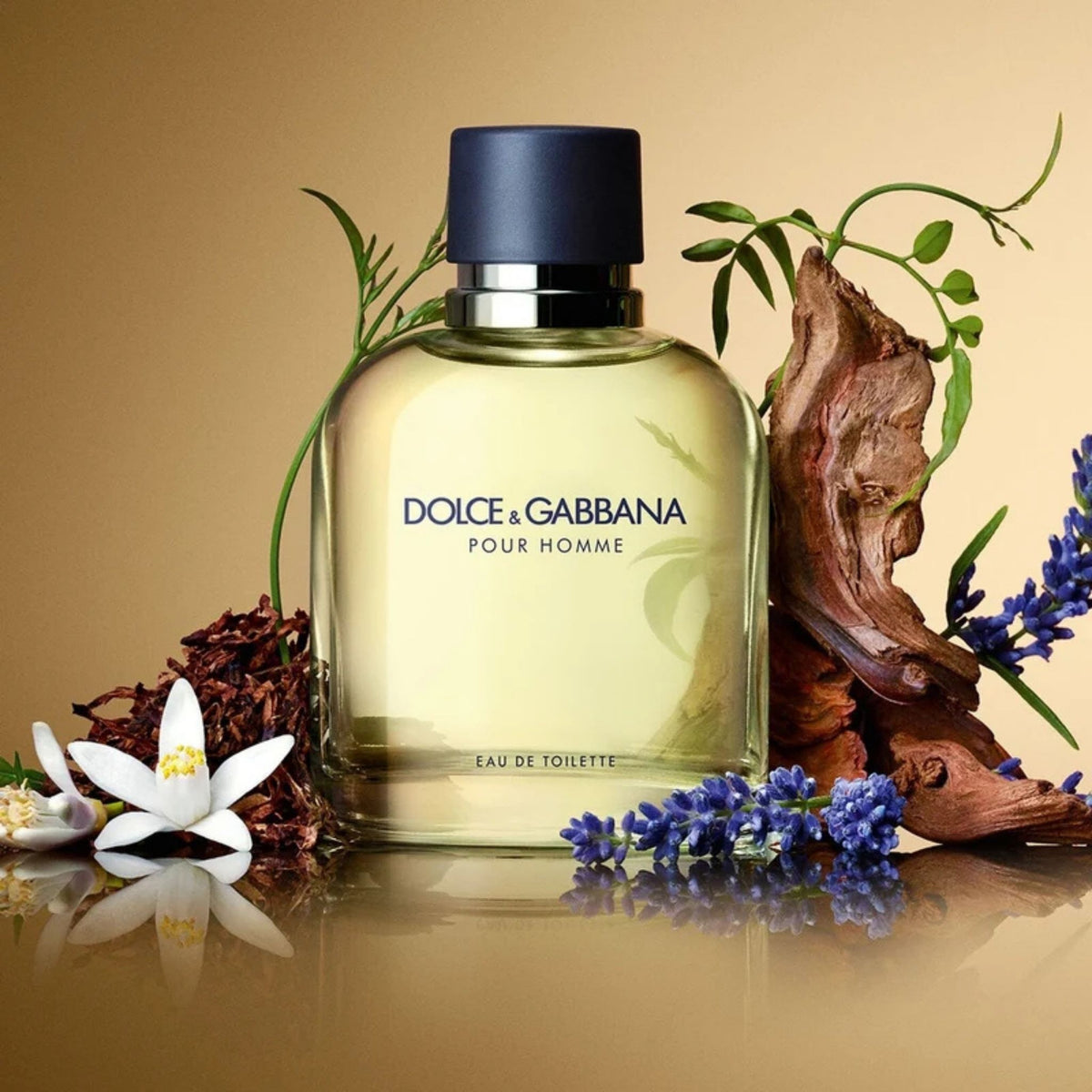 Dolce & Gabbana Pour Homme - Eau de Toilette