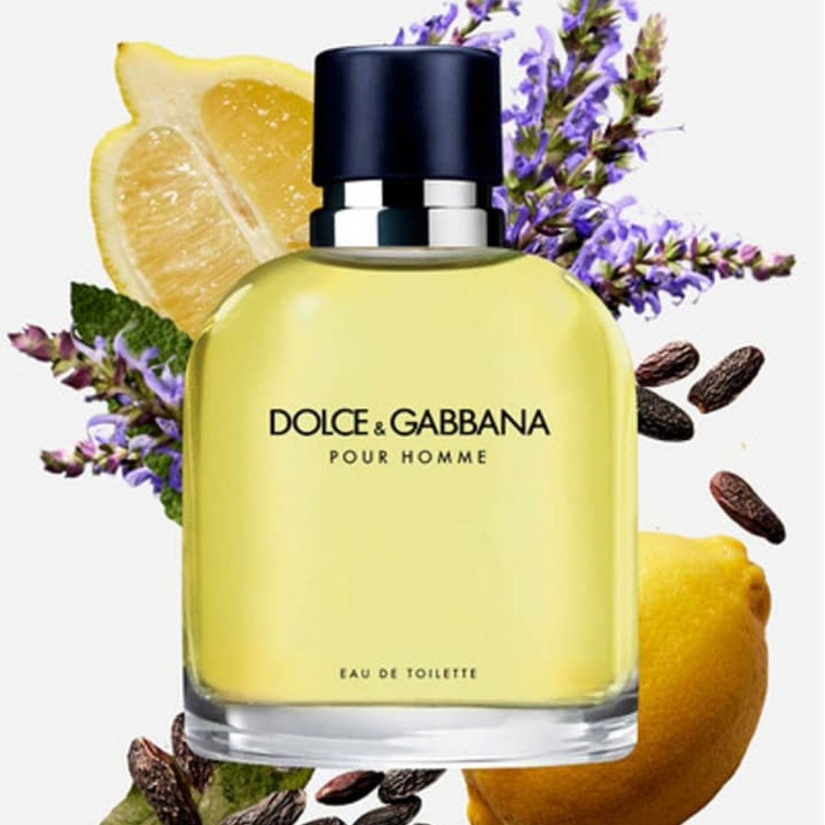 Dolce & Gabbana Pour Homme - Eau de Toilette