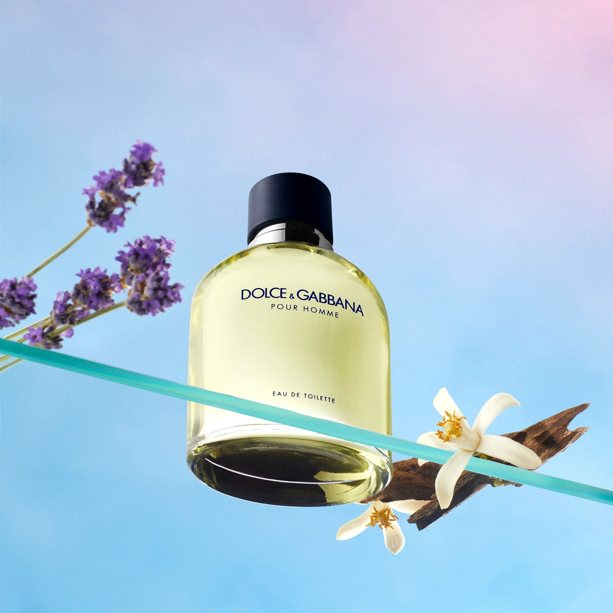 Dolce & Gabbana Pour Homme - Eau de Toilette