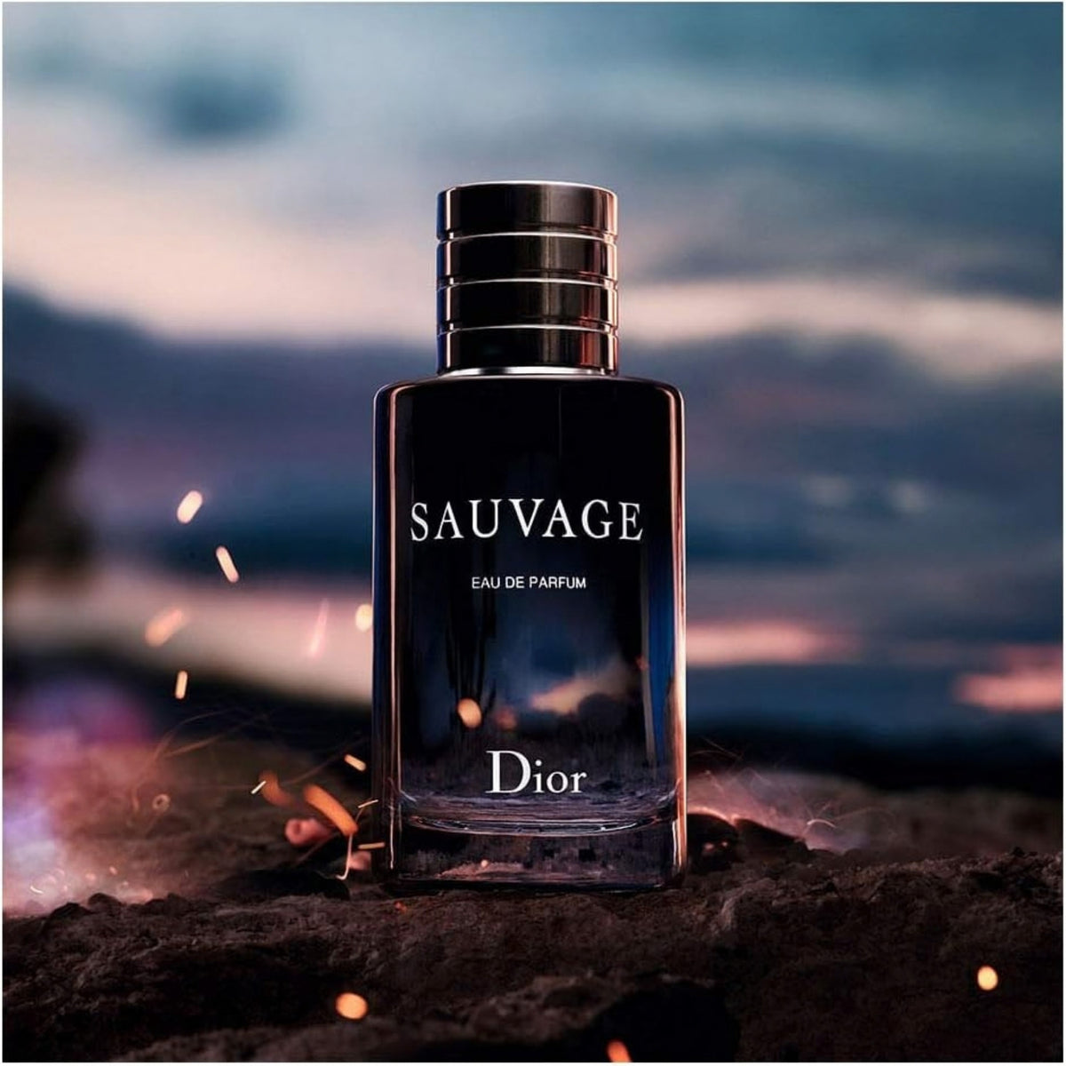 Dior Sauvage Gift Set for Men - Eau de Parfum 100ml + 10ml Travel Spray