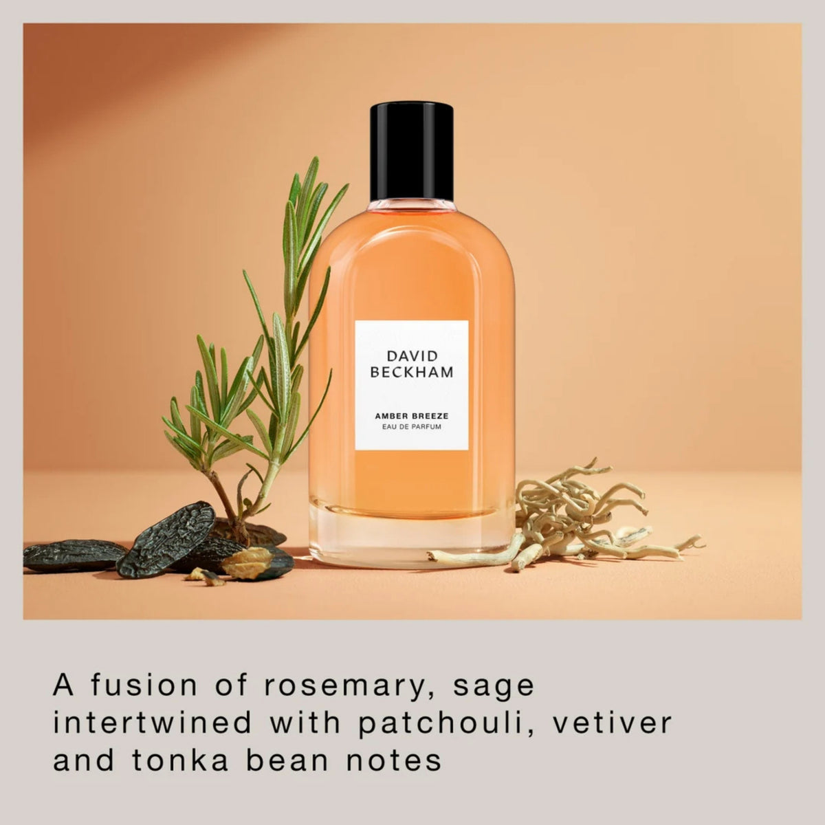 David Beckham Amber Breeze - Eau de Parfum