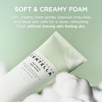 SKIN1004 Centella Tea-Trica BHA Foam - Face Wash Foam
