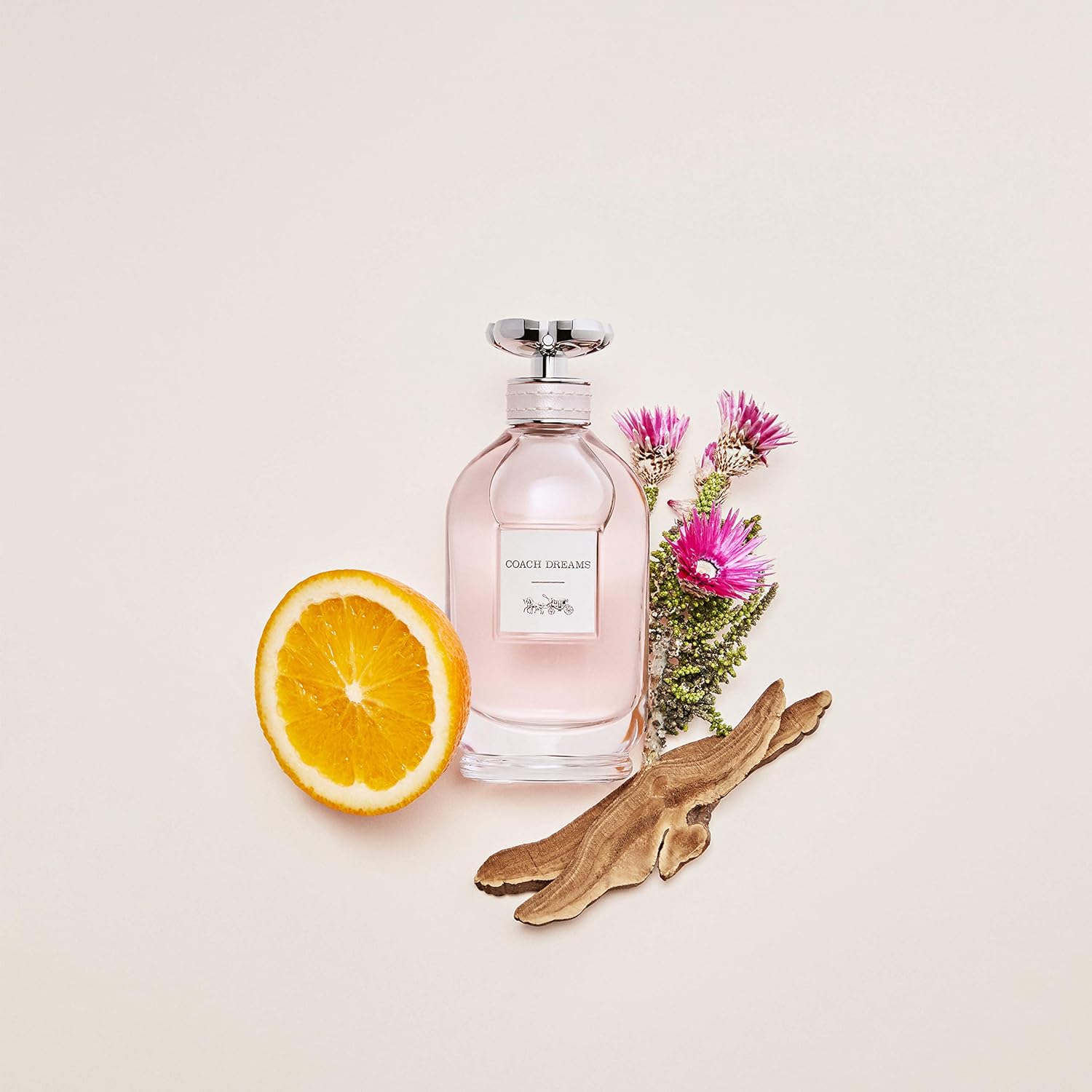 Coach Dreams Women - Eau de Parfum