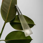 Issey Miyake L‚ÄôEau d‚ÄôIssey - Eau de Toilette