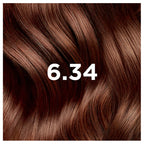 Phyto Hair Color New Kit - 6.34 Dark Copper Blonde