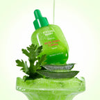 Refect Beauty Eqqualberry Aloe PDRN Calming Serum bottle with aloe vera and herbs in a refreshing green setting