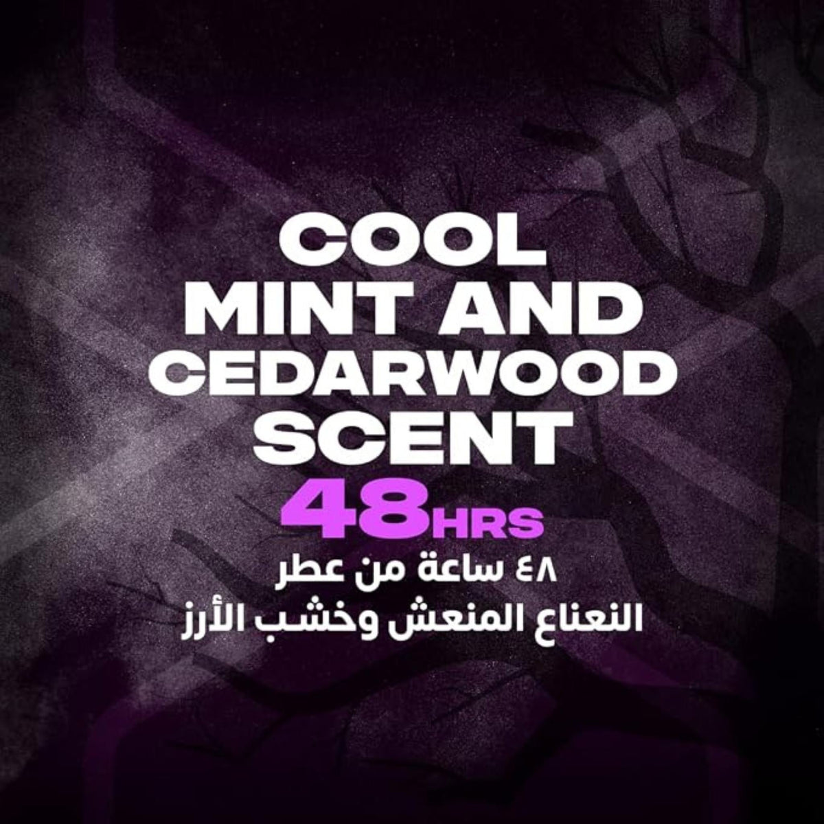 Refect Beauty Axe Black Night deodorant spray advertisement featuring mint and cedarwood scent with 48-hour protection