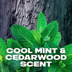 Refect Beauty Axe Black Night deodorant featuring fresh green mint leaves against a dark textured cedarwood background