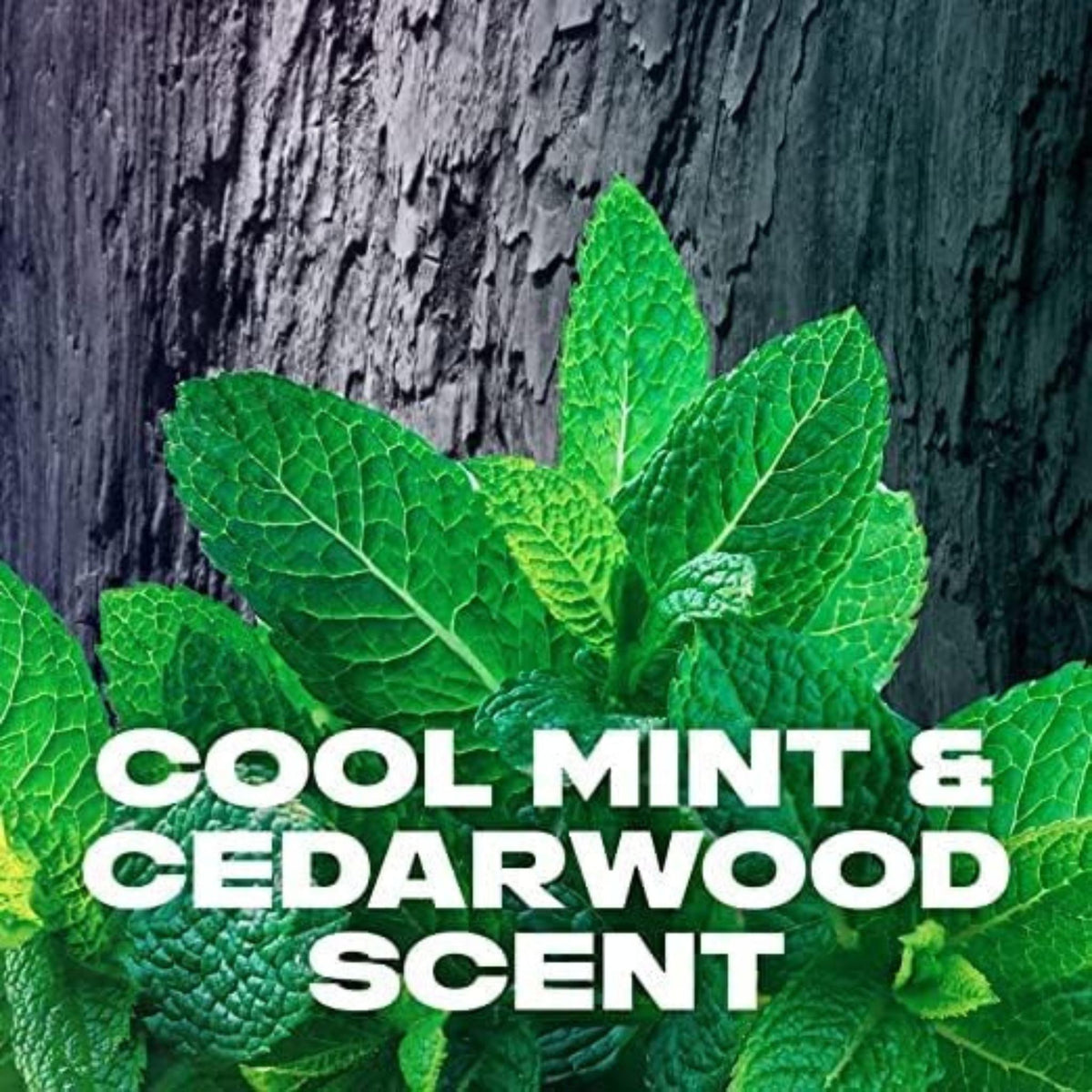 Refect Beauty Axe Black Night deodorant featuring fresh green mint leaves against a dark textured cedarwood background