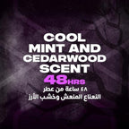 Refect Beauty promotional graphic for AXE Black Night body spray featuring cool mint and cedarwood scent notes