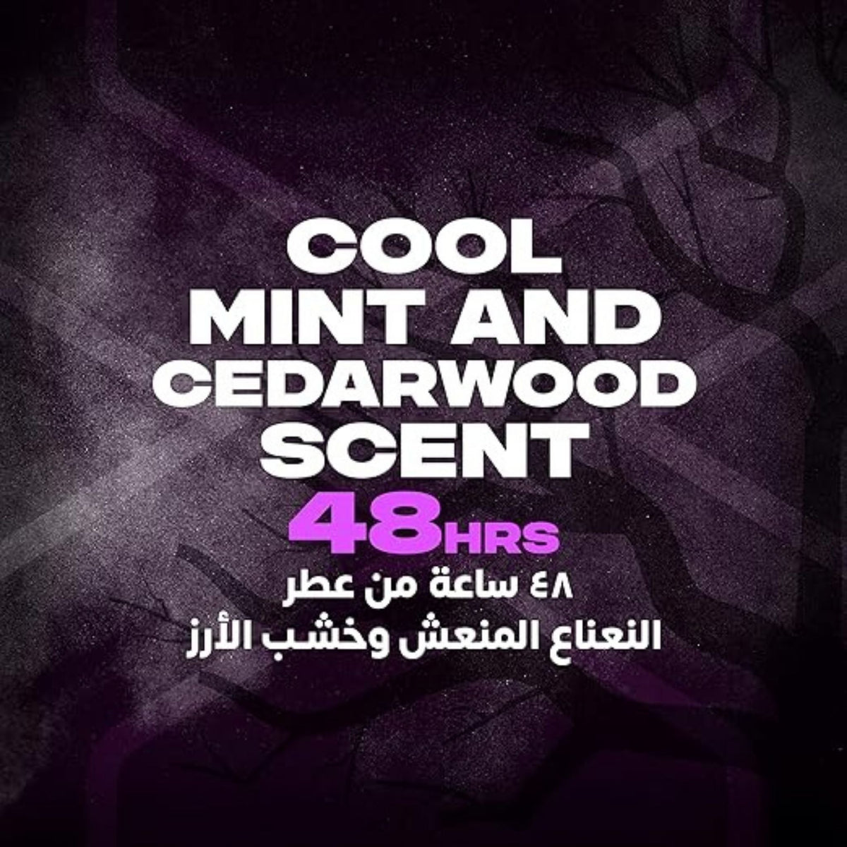Refect Beauty promotional graphic for AXE Black Night body spray featuring cool mint and cedarwood scent notes