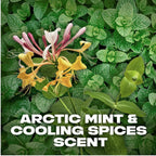 Refect Beauty Axe Recharge deodorant featuring arctic mint and cooling spices scent against a fresh mint leaf backdrop