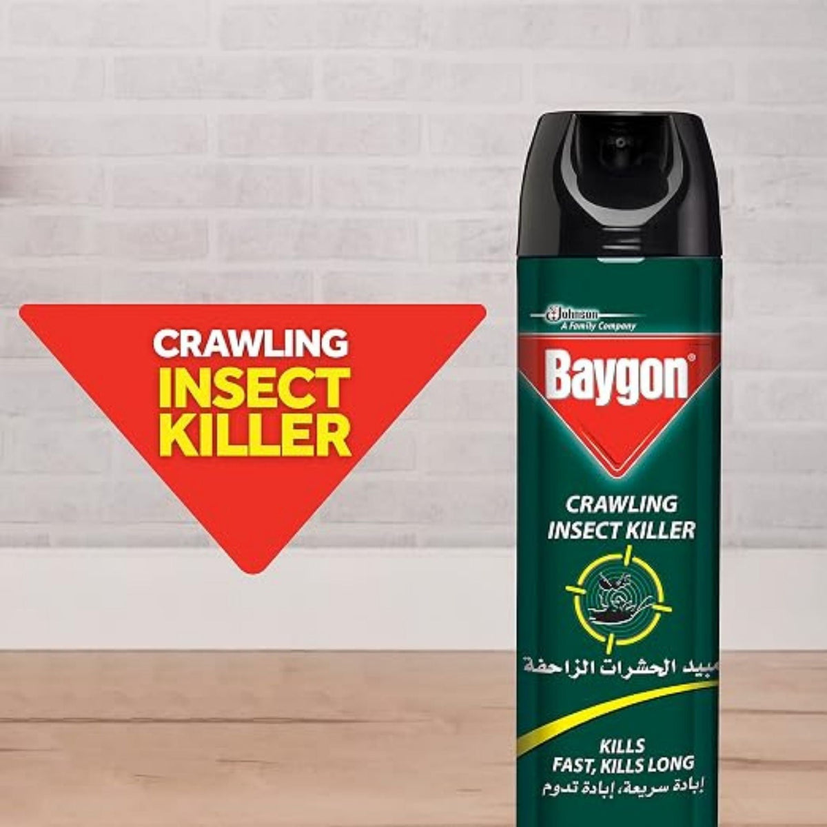 Refect Beauty Baygon crawling insect killer aerosol spray for cockroaches and ants in a green canister