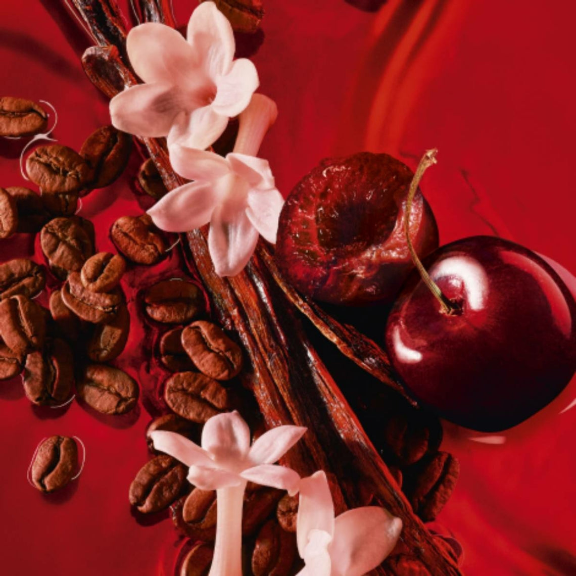 Refect Beauty Yves Saint Laurent Black Opium Over Red ingredients featuring cherries, coffee beans, and jasmine flowers