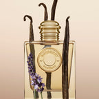 Refect Beauty Burberry Goddess Eau de Parfum bottle with vanilla beans and lavender sprig on a warm beige background