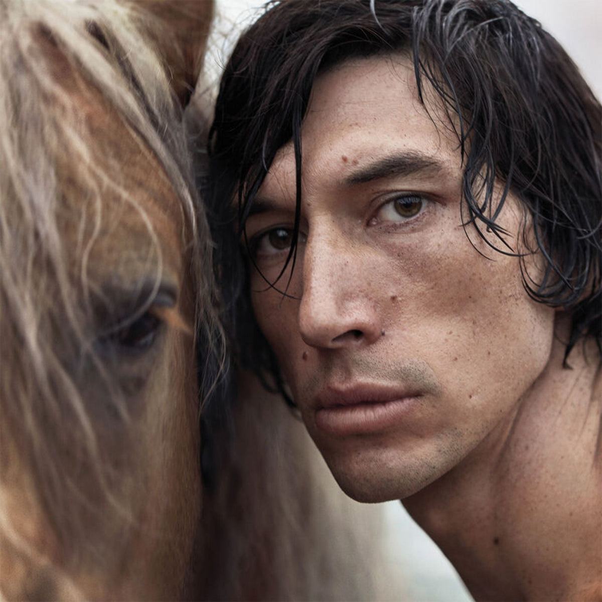 Refect Beauty Burberry Hero Eau de Parfum campaign featuring Adam Driver close-up with a horse