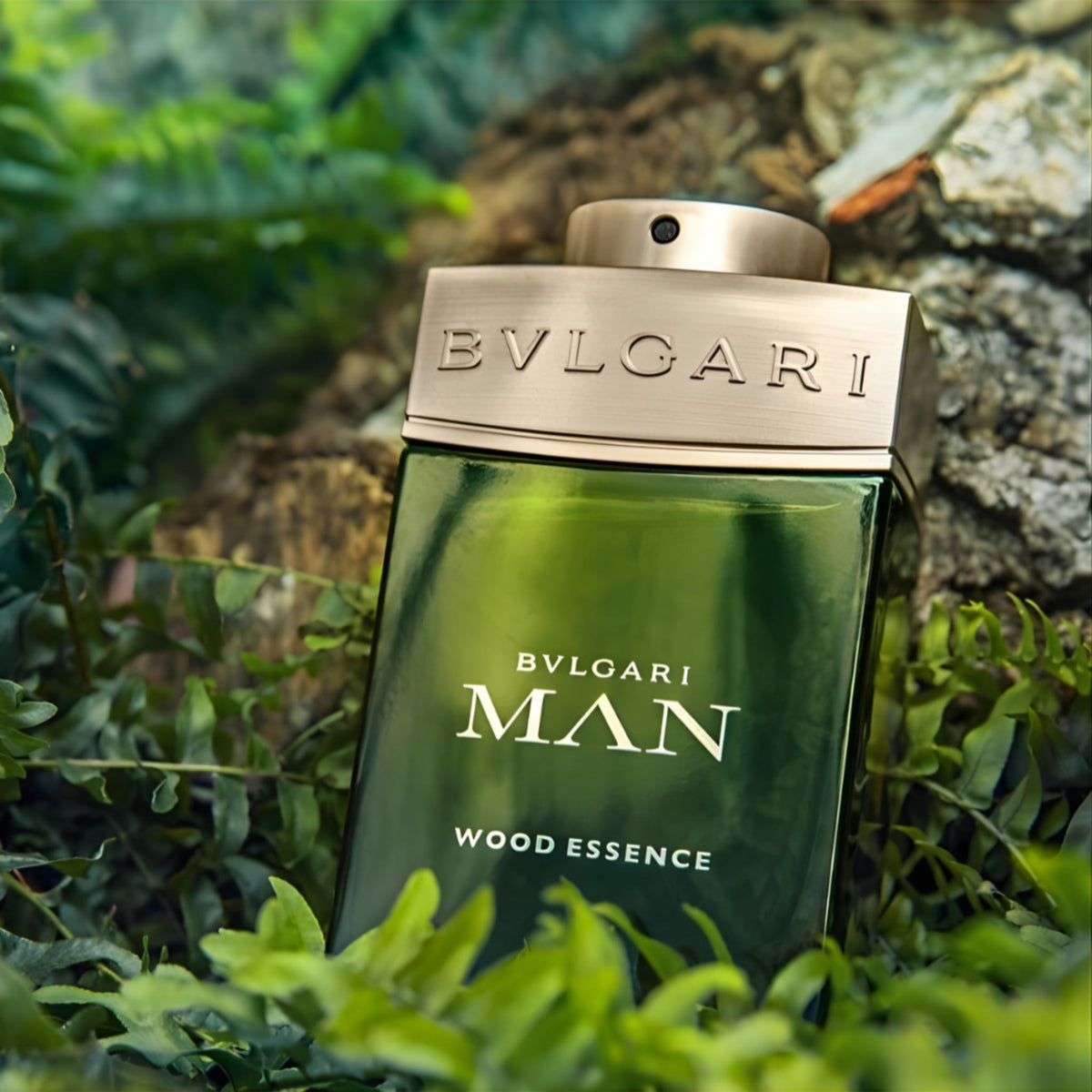 Refect Beauty Bvlgari Man Wood Essence eau de parfum bottle nestled in lush green ferns and textured tree bark