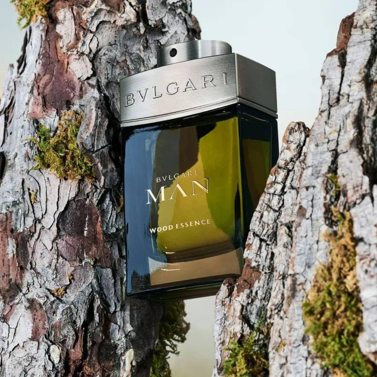 Refect Beauty Bvlgari Man Wood Essence Eau de Parfum bottle nestled between textured tree bark and moss