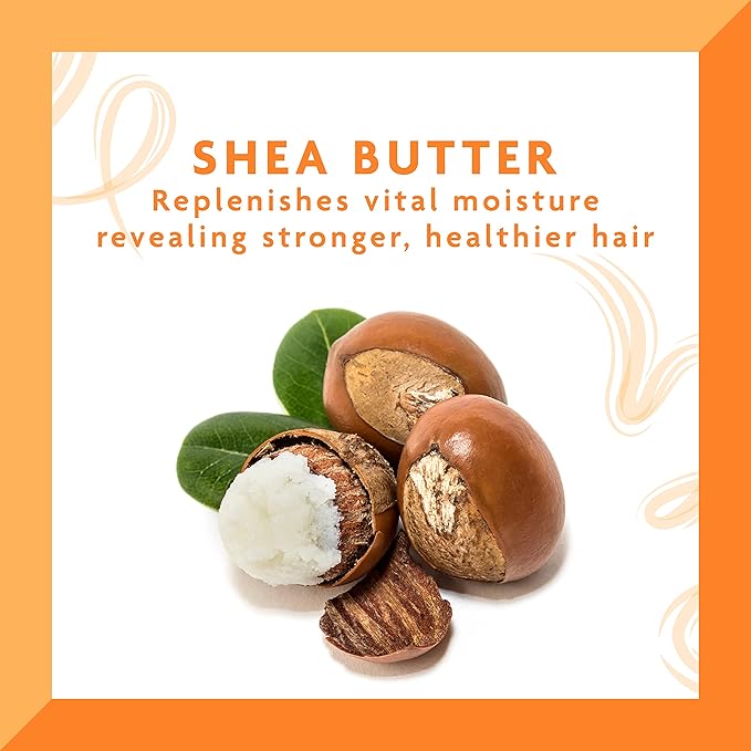 Refect Beauty Cantu Shea Butter Hair Dressing Pomade ingredient graphic featuring raw shea nuts and green leaves