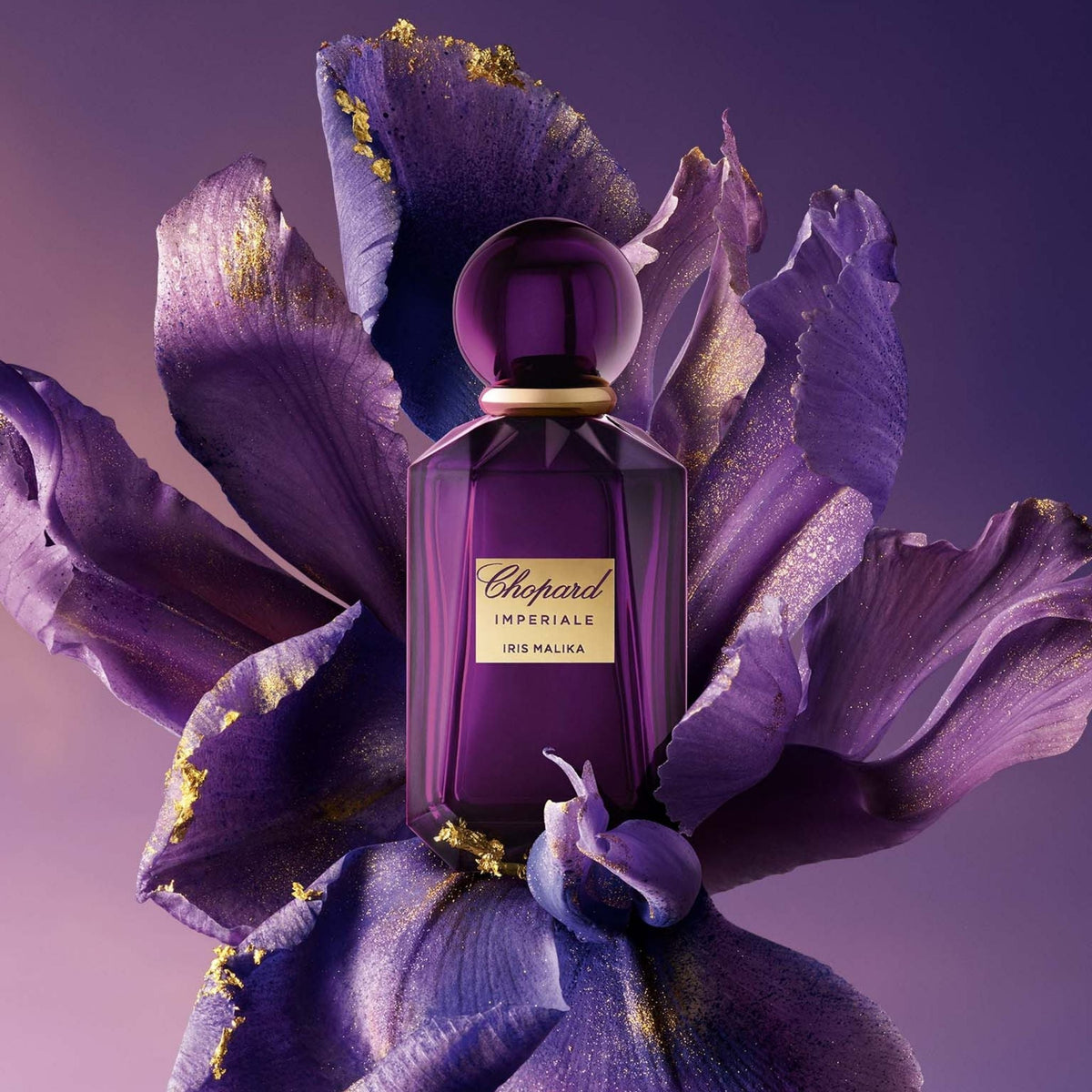 Refect Beauty Chopard Imperiale Iris Malika perfume bottle resting on a large purple iris flower with gold accents