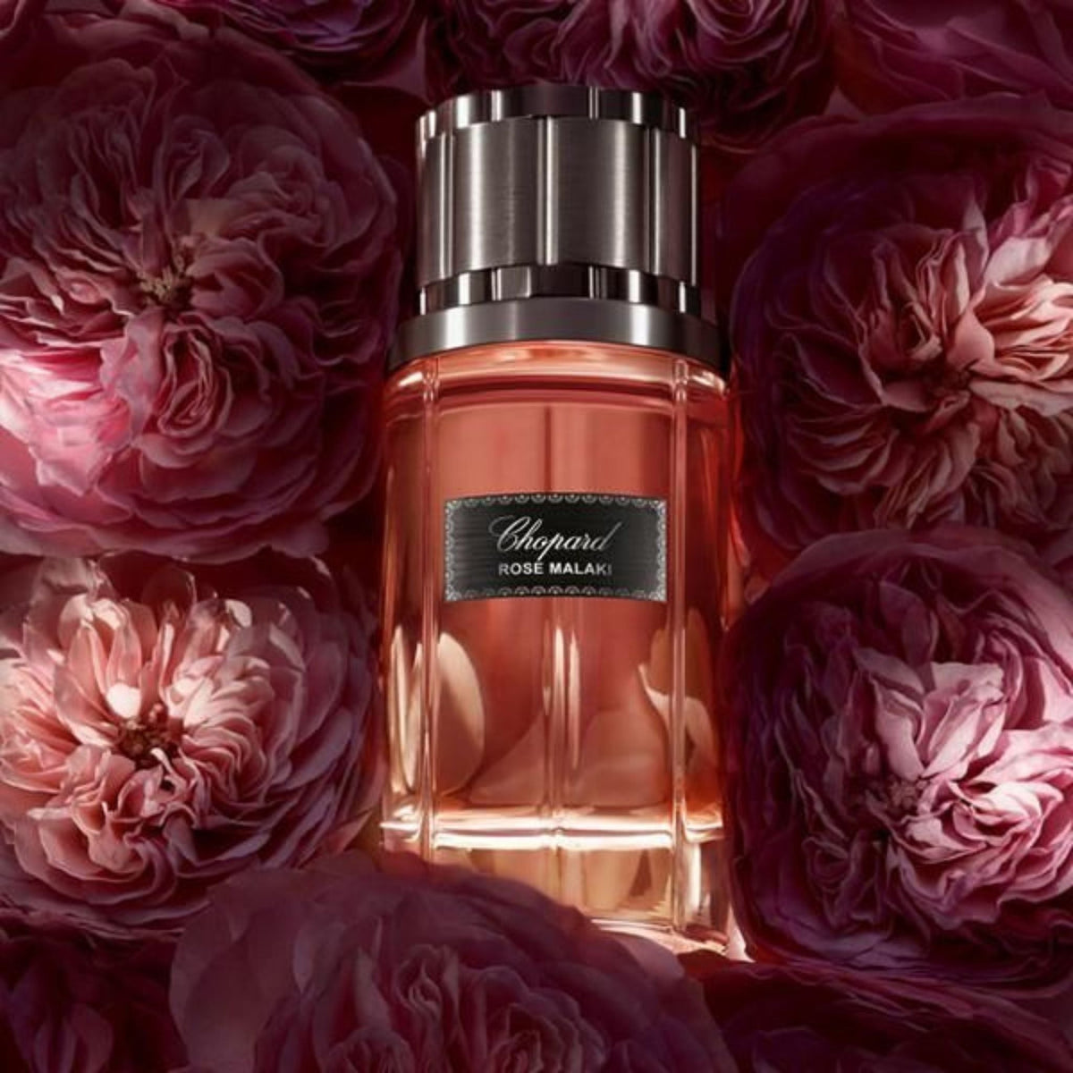 Refect Beauty Chopard Rose Malaki perfume bottle surrounded by lush dark pink roses in a luxurious, moody setting.